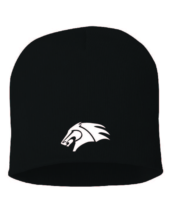 colts stocking cap