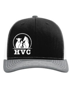 Hesston Veterinary Clinic Cap - Image 3
