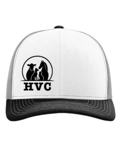 Hesston Veterinary Clinic Cap